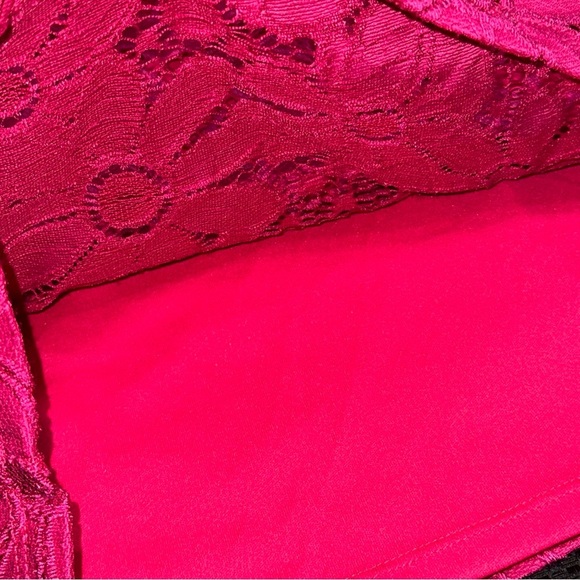 SOLD Tiana B Woman’s XXL Bright Pink Sleeveless Floral Daisy Lace Sheath Lined - Picture 5 of 10